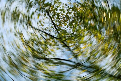 Feeling Dizzy: Causes, Symptoms, and When to Seek Medical .